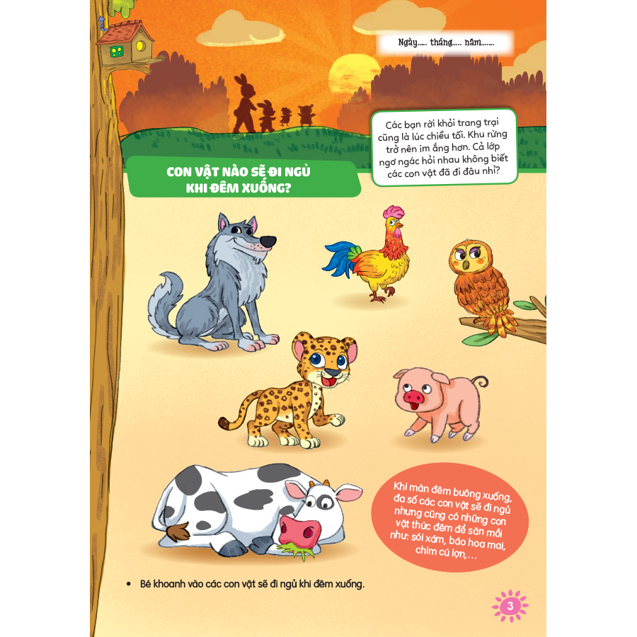 Chuẩn bị cho trẻ 5 tuổi sẵn sàng vào lớp một - Hoạt động khám phá, trải nghiệm - Phát triển Nhận thức