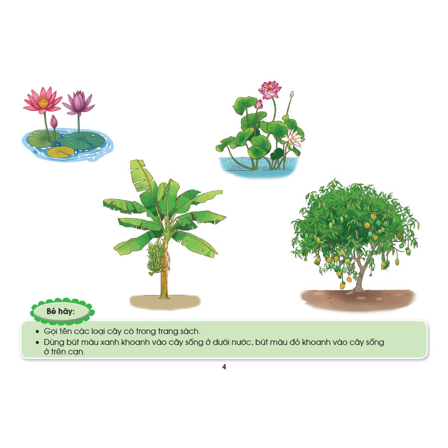 Các hoạt động giúp trẻ 3 - 4 tuổi khám phá chủ đề - Chủ đề Thế giới Thực vật (Theo quan điểm lấy trẻ làm trung tâm)