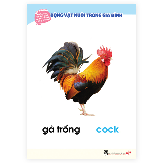 Bộ tranh giúp trẻ khám phá môi trường xung quanh – Động vật nuôi trong gia đình (song ngữ Việt - Anh)