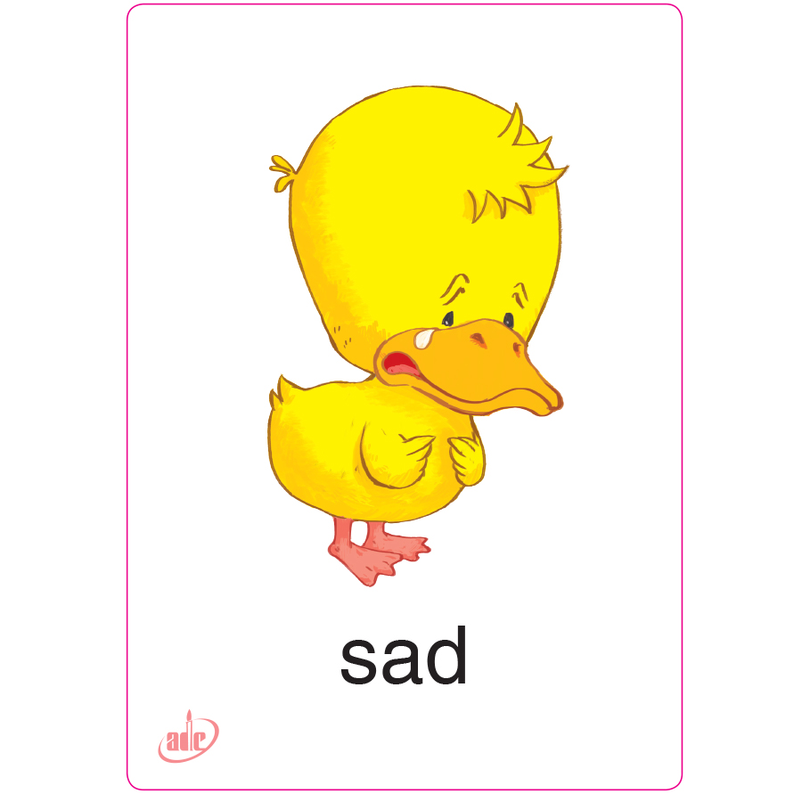 Flashcard Eduplay Friends 1A