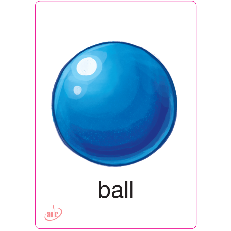 Flashcard Eduplay Friends 2A