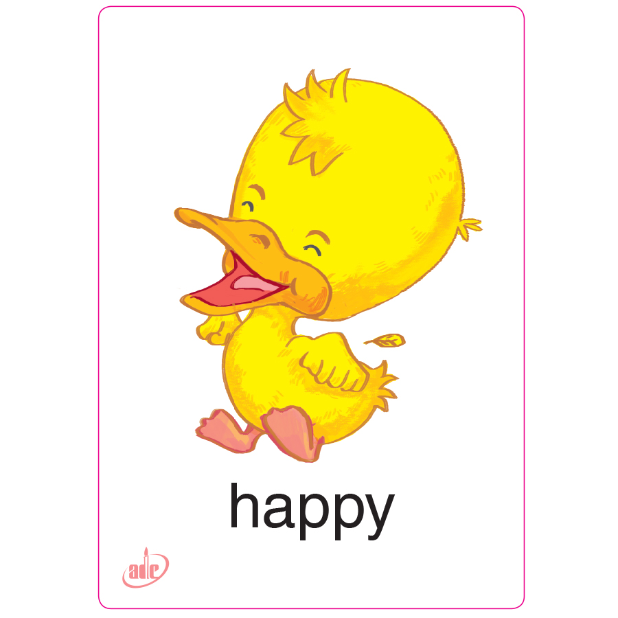 Flashcard Eduplay Friends 1A