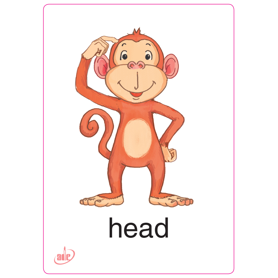Flashcard Eduplay Friends 1A