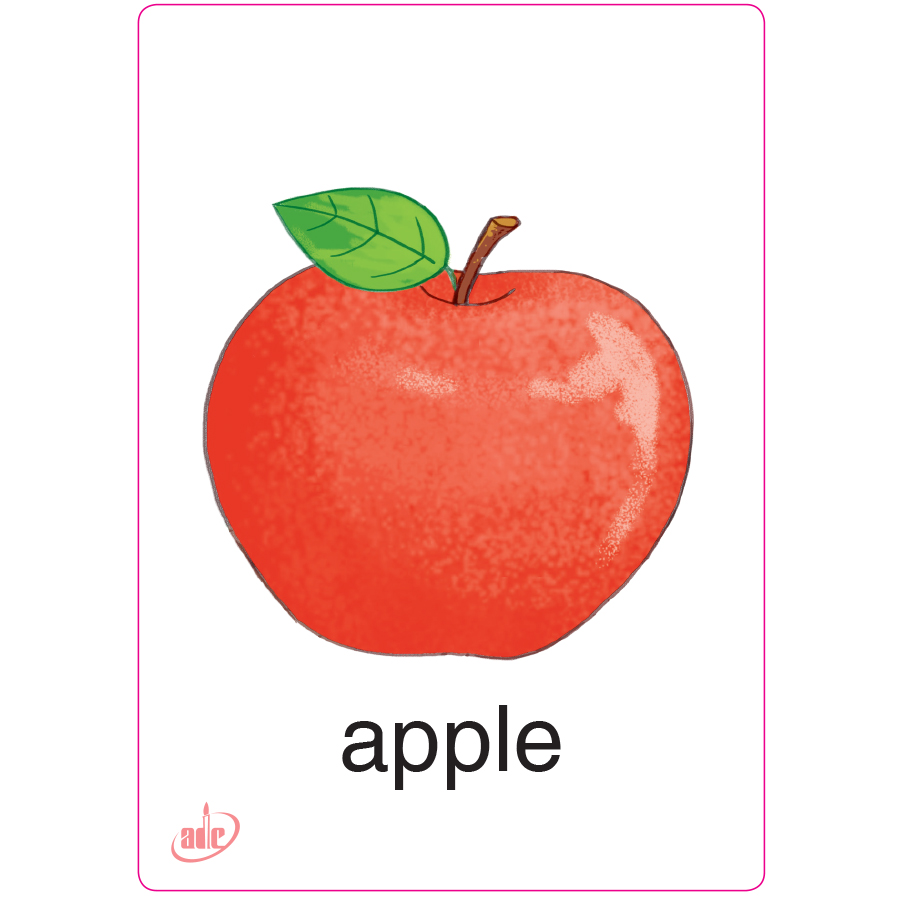 Flashcard Eduplay Friends 1B