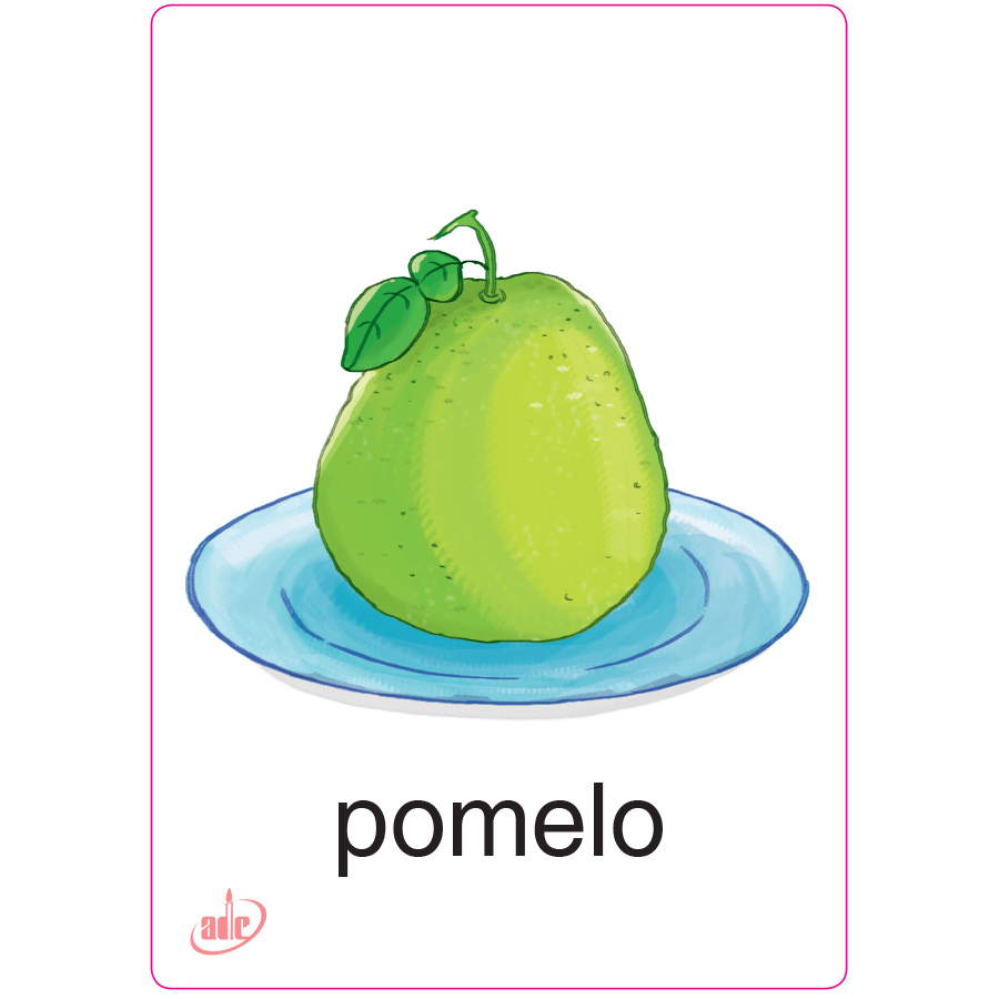 Flashcard Eduplay Friends 3A