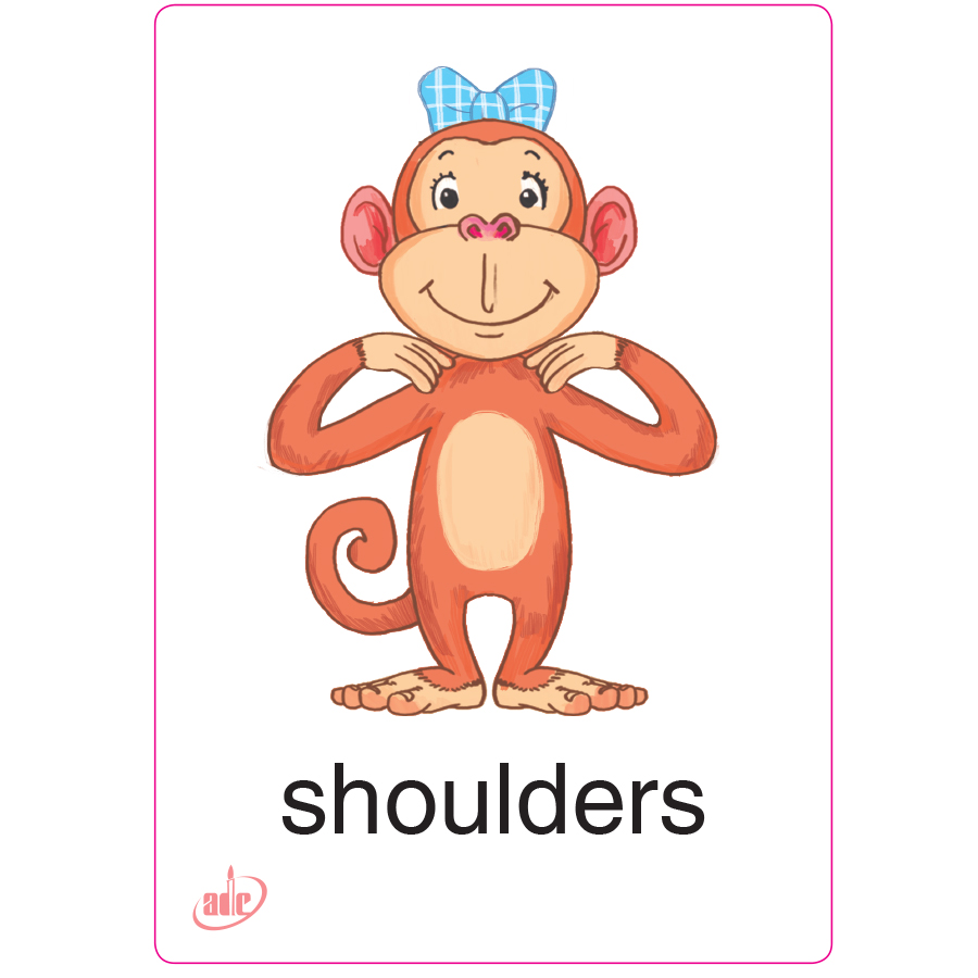 Flashcard Eduplay Friends 1A