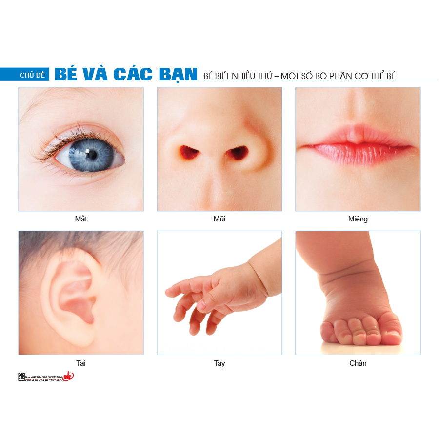 Bộ tranh theo chủ đề (Dành cho trẻ 24 - 36 tháng)