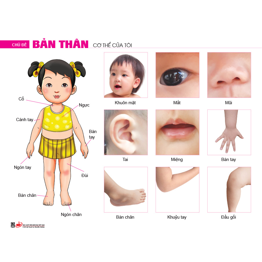 Bộ tranh theo chủ đề (Dành cho trẻ 4 - 5 tuổi)