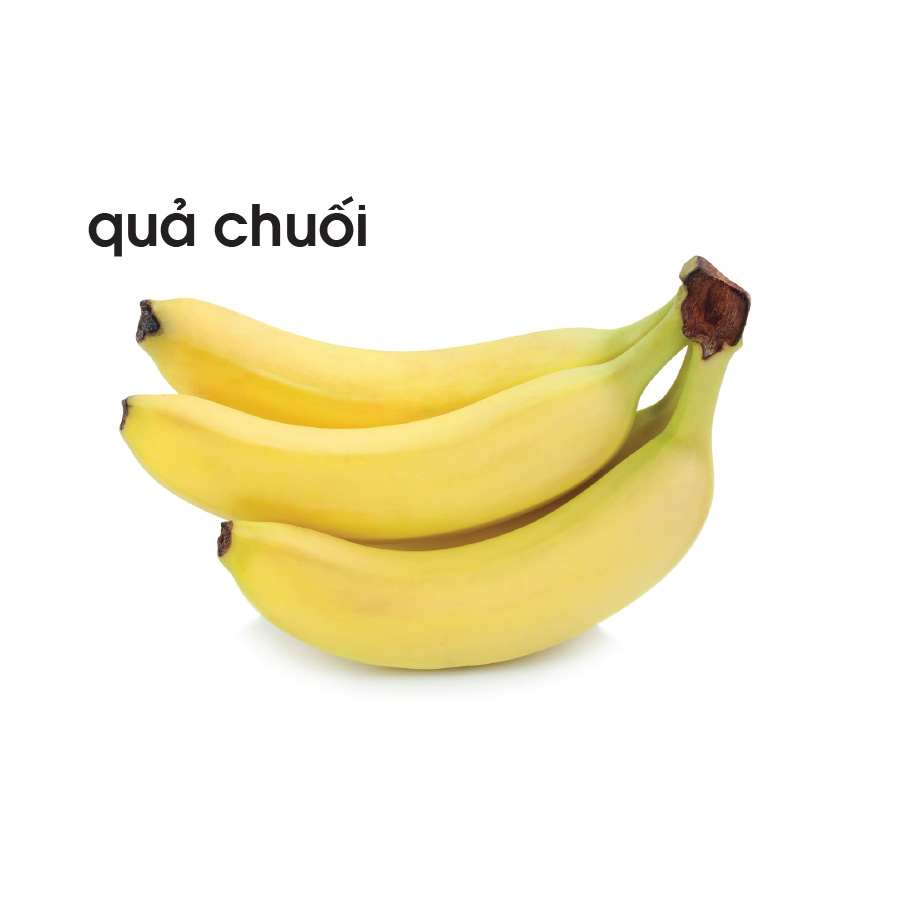 Lô tô thực vật