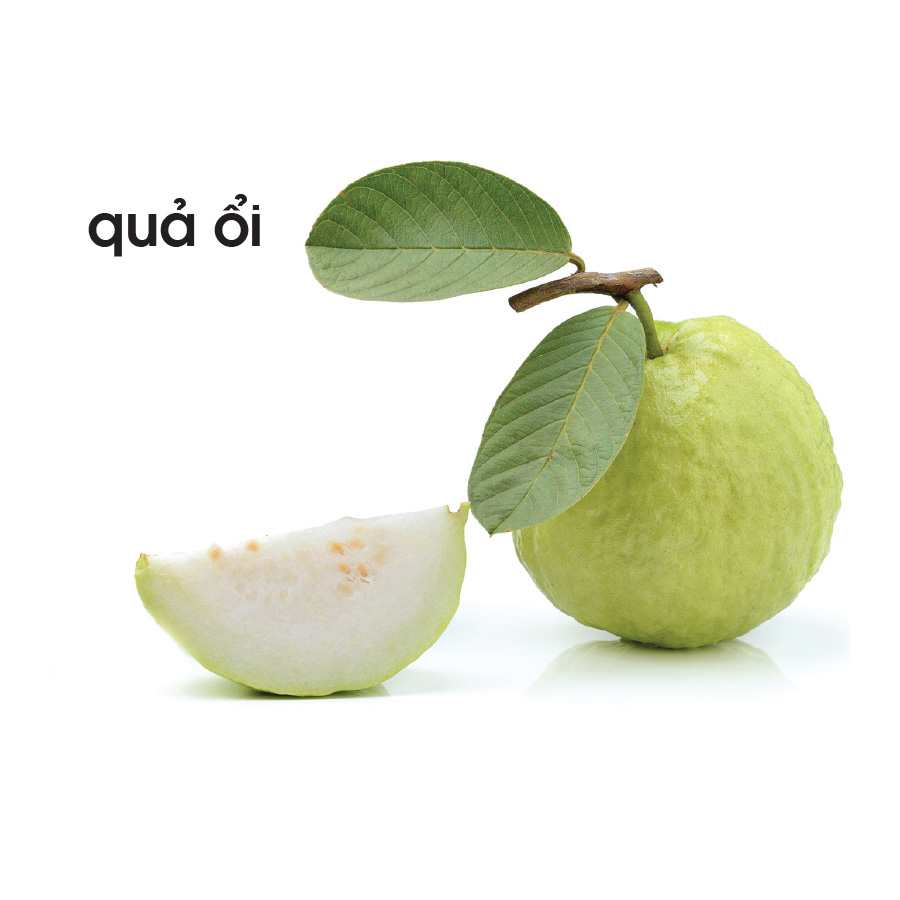 Lô tô thực vật