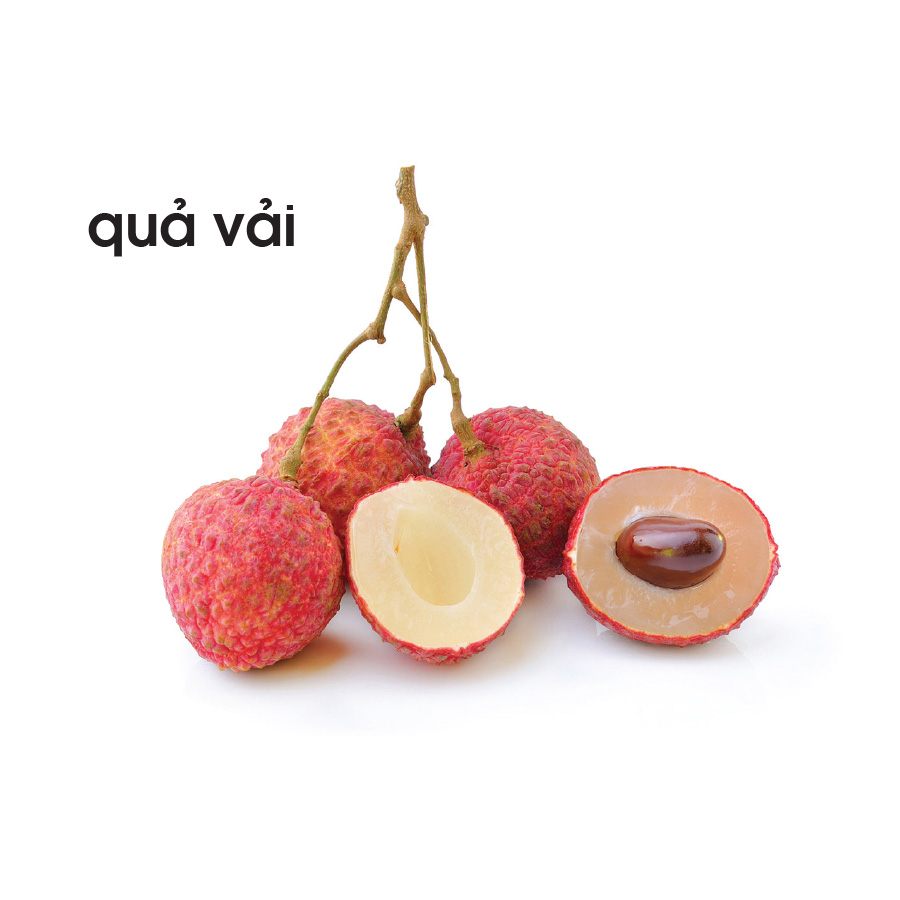 Lô tô thực vật
