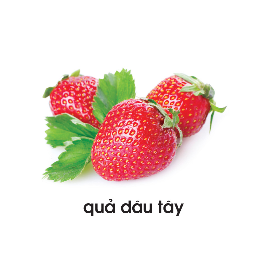 Lô tô các loại quả