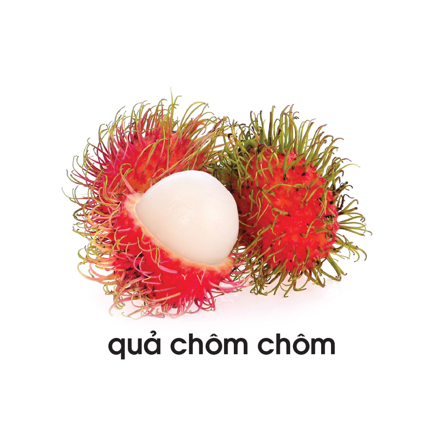 Lô tô các loại quả