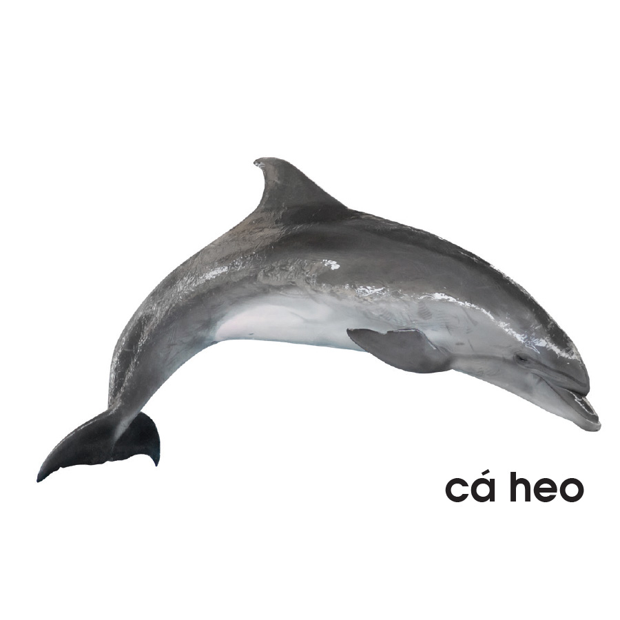 Lô tô động vật