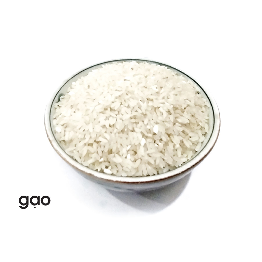 Lô tô dinh dưỡng