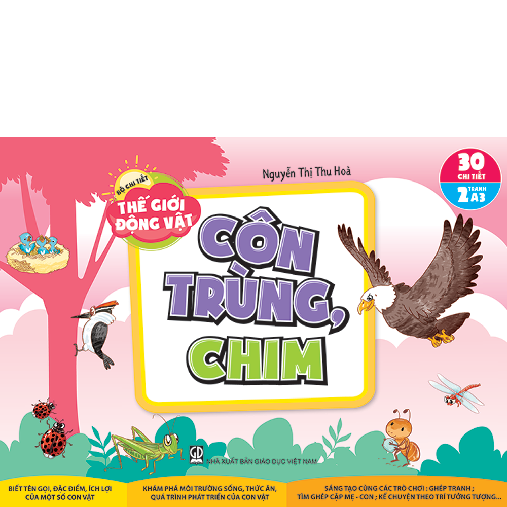 Bộ chi tiết thế giới động vật – Côn trùng, chim