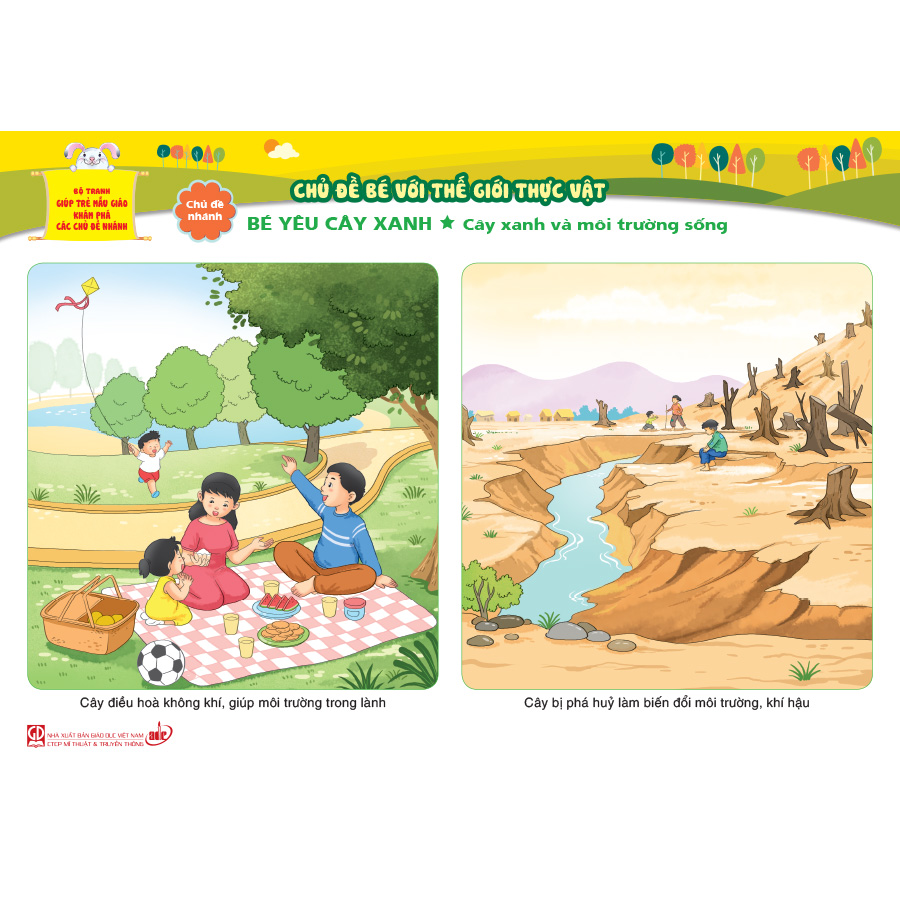 Bộ tranh giúp trẻ mẫu giáo khám phá các chủ đề nhánh - Chủ đề Bé với thế giới thực vật