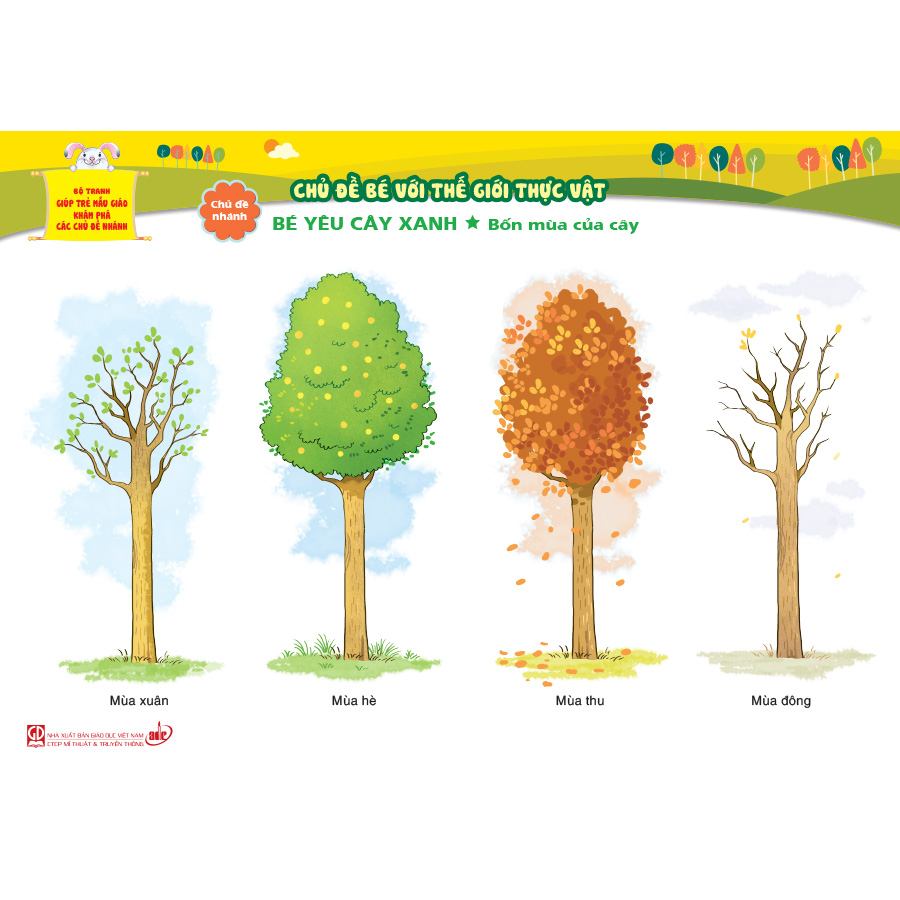 Bộ tranh giúp trẻ mẫu giáo khám phá các chủ đề nhánh - Chủ đề Bé với thế giới thực vật