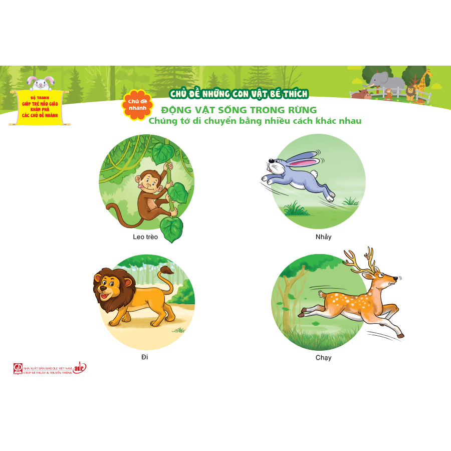 Bộ tranh giúp trẻ mẫu giáo khám phá các chủ đề nhánh - Chủ đề Những con vật bé thích
