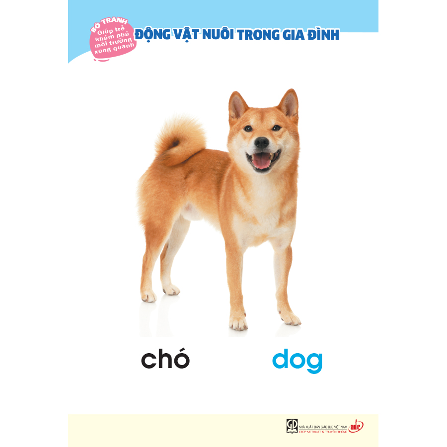 Bộ tranh giúp trẻ khám phá môi trường xung quanh – Động vật nuôi trong gia đình (song ngữ Việt - Anh)