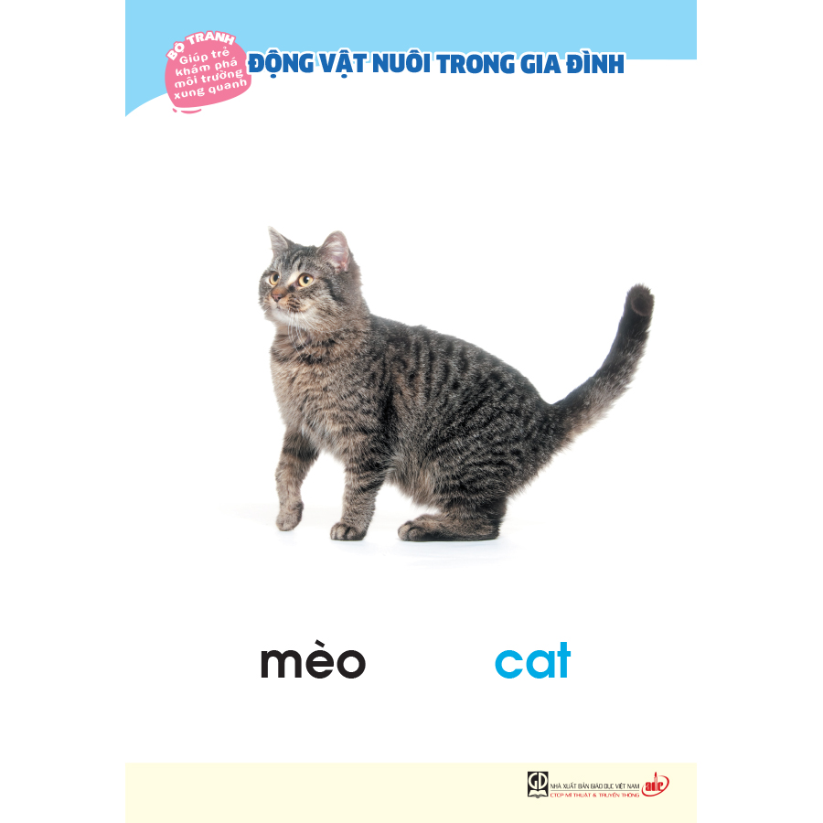 Bộ tranh giúp trẻ khám phá môi trường xung quanh – Động vật nuôi trong gia đình (song ngữ Việt - Anh)