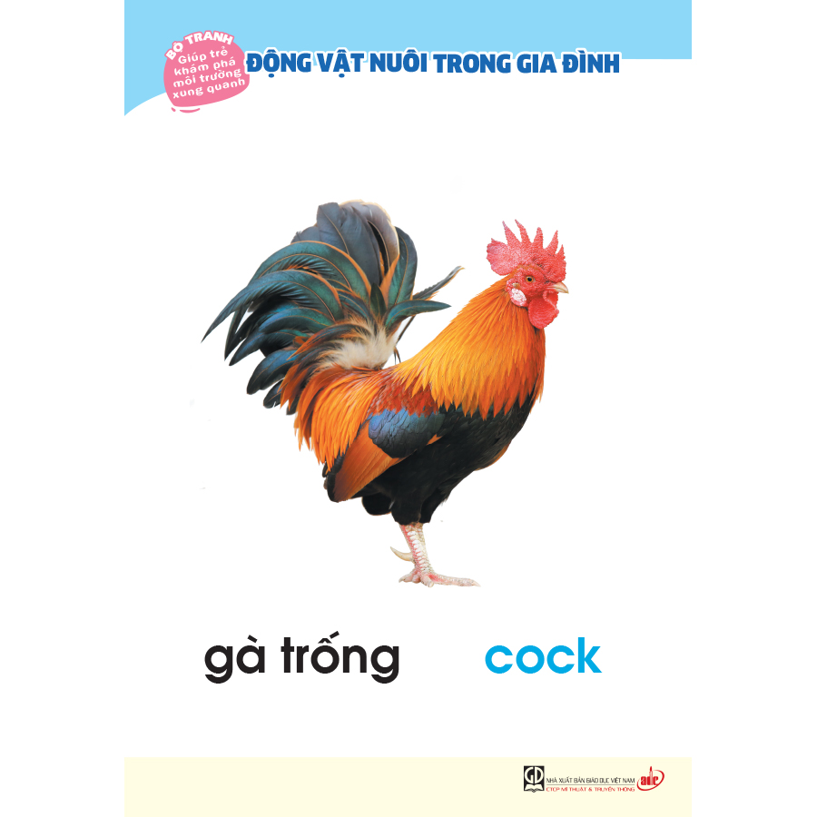 Bộ tranh giúp trẻ khám phá môi trường xung quanh – Động vật nuôi trong gia đình (song ngữ Việt - Anh)