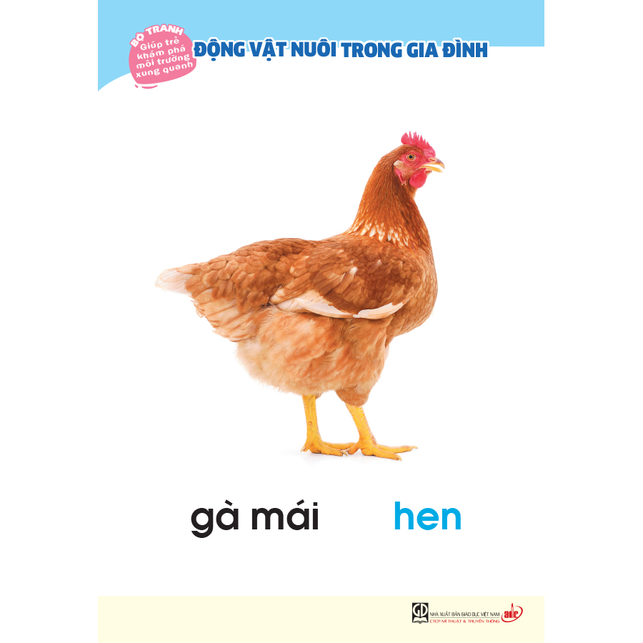 Bộ tranh giúp trẻ khám phá môi trường xung quanh – Động vật nuôi trong gia đình (song ngữ Việt - Anh)
