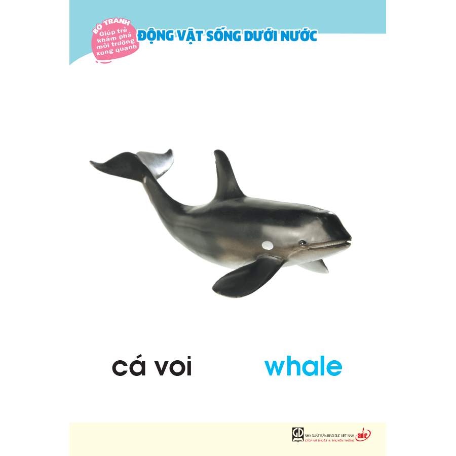 Bộ tranh giúp trẻ khám phá môi trường xung quanh – Động vật sống dưới nước  (song ngữ Việt - Anh)