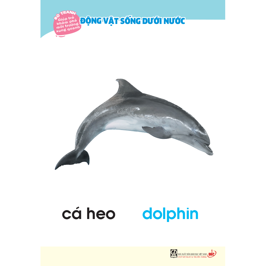 Bộ tranh giúp trẻ khám phá môi trường xung quanh – Động vật sống dưới nước  (song ngữ Việt - Anh)