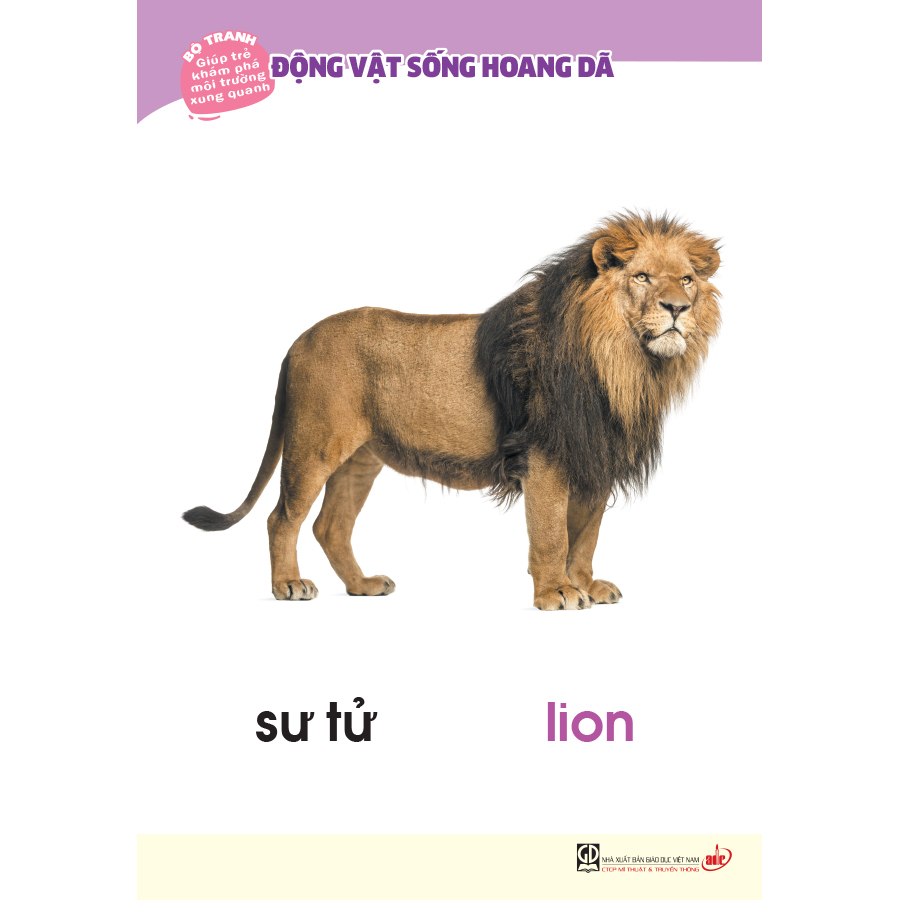 Bộ tranh giúp trẻ khám phá môi trường xung quanh – Động vật sống hoang dã (song ngữ Việt - Anh)