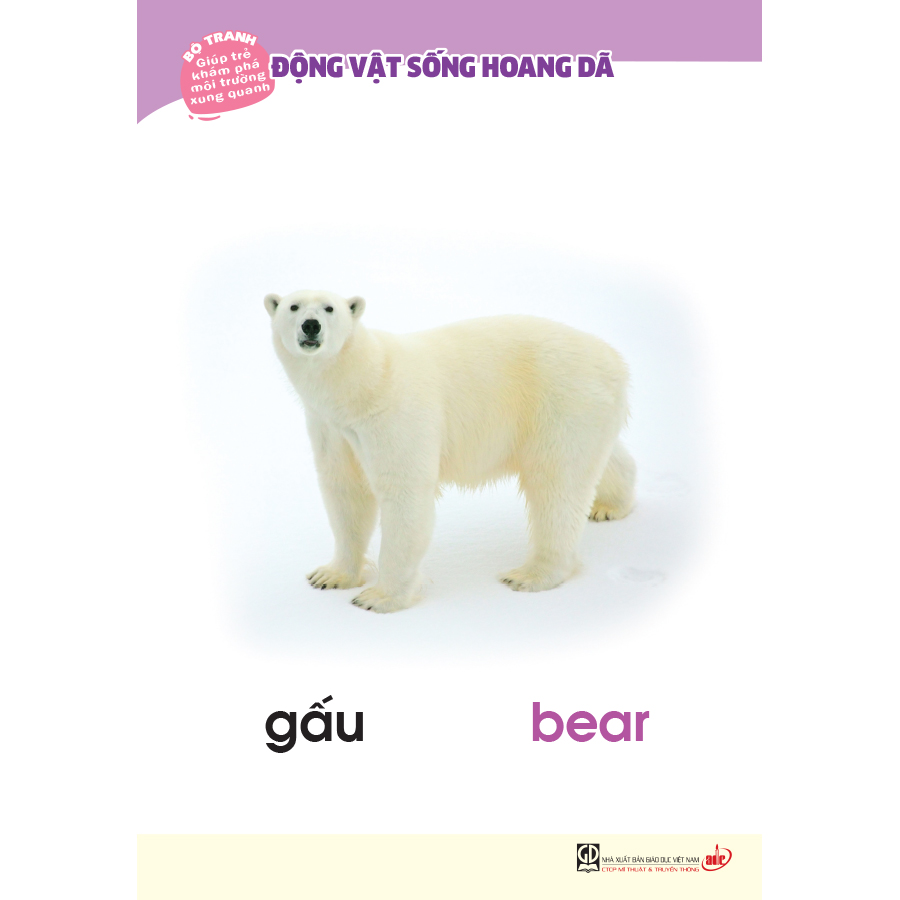 Bộ tranh giúp trẻ khám phá môi trường xung quanh – Động vật sống hoang dã (song ngữ Việt - Anh)