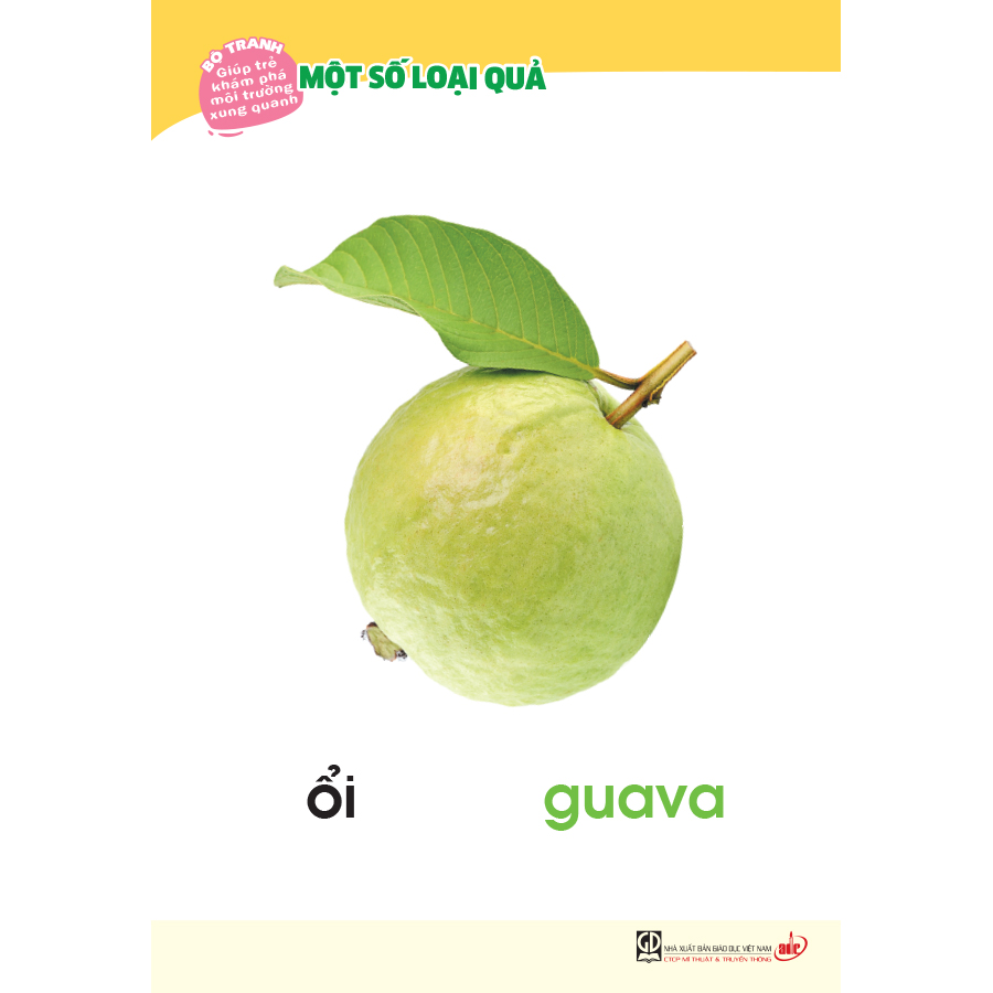 Bộ tranh giúp trẻ khám phá môi trường xung quanh – Một số loại quả (song ngữ Việt - Anh)