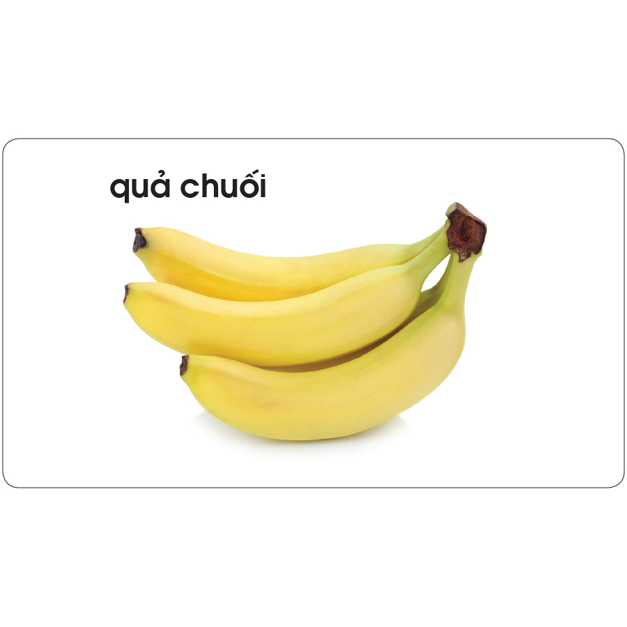 Lô tô giúp bé nhận biết thế giới thực vật (Dành cho giáo viên mầm non)