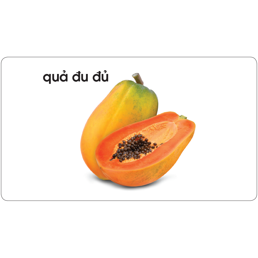 Lô tô giúp bé nhận biết thế giới thực vật (Dành cho giáo viên mầm non)
