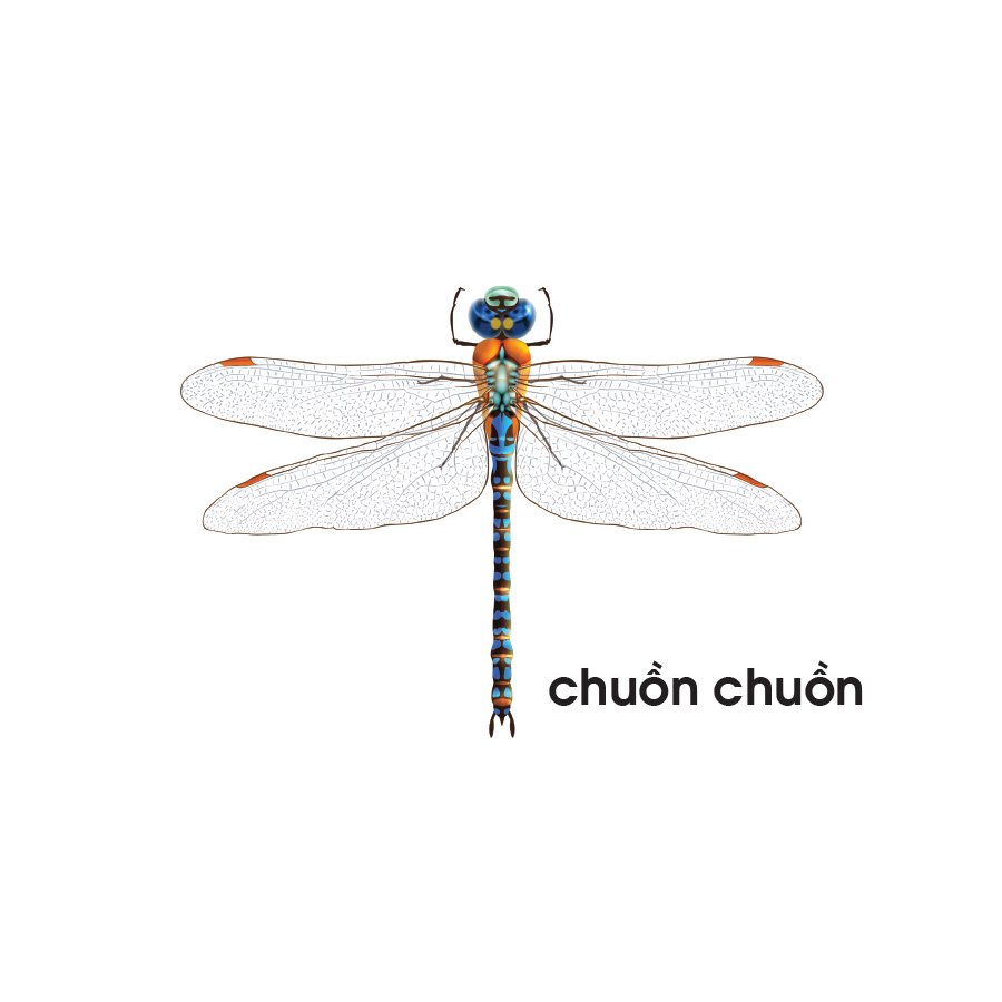 Lô tô giúp bé nhận biết thế giới động vật (Dành cho giáo viên mầm non)