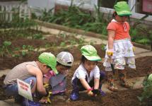 4 hoạt động hè cho bé không nên bỏ qua