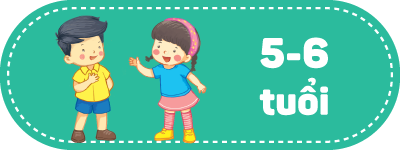 5-6 Tuổi