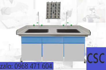 BÀN THÍ NGHIỆM CÓ BỒN RỬA( 2 VỊ TRÍ)