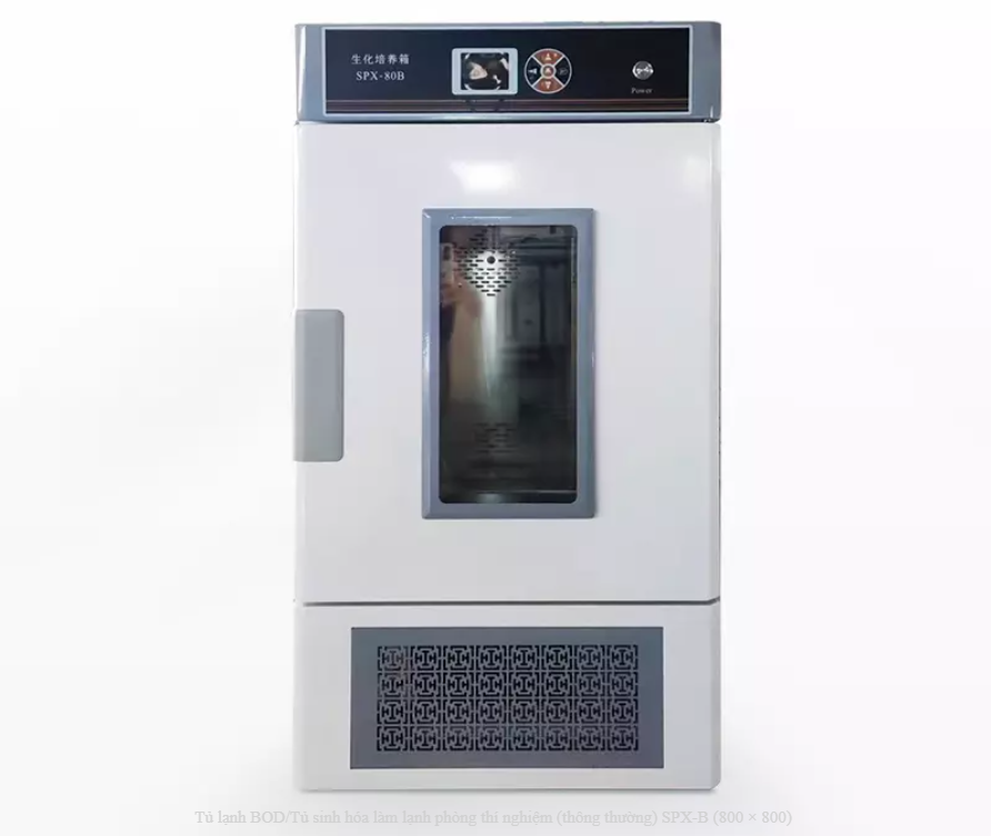 Tủ Ấm Lạnh Xingchen SPX-80B