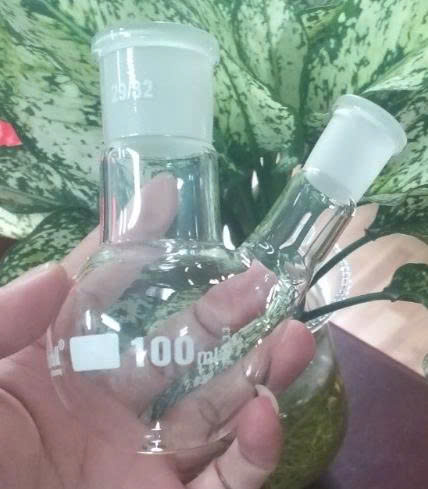 Bình cầu 2 cổ nhám 1000ml