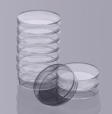 Hộp lồng petri nhựa phi 6cm