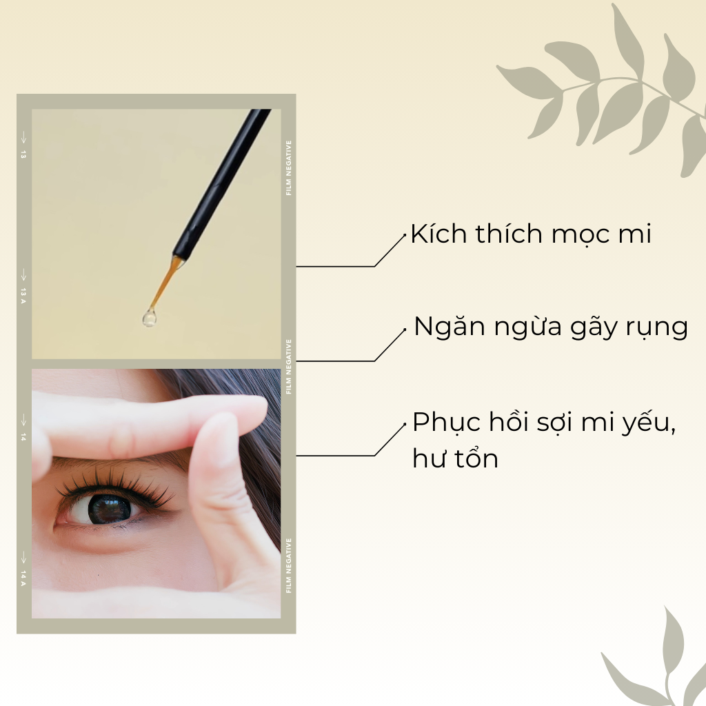 Serum Dưỡng Mi Tăng Cường Black Turbo