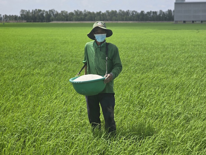 Phân bón tăng giá sốc, áp sát mức đỉnh đợt dịch Covid-19