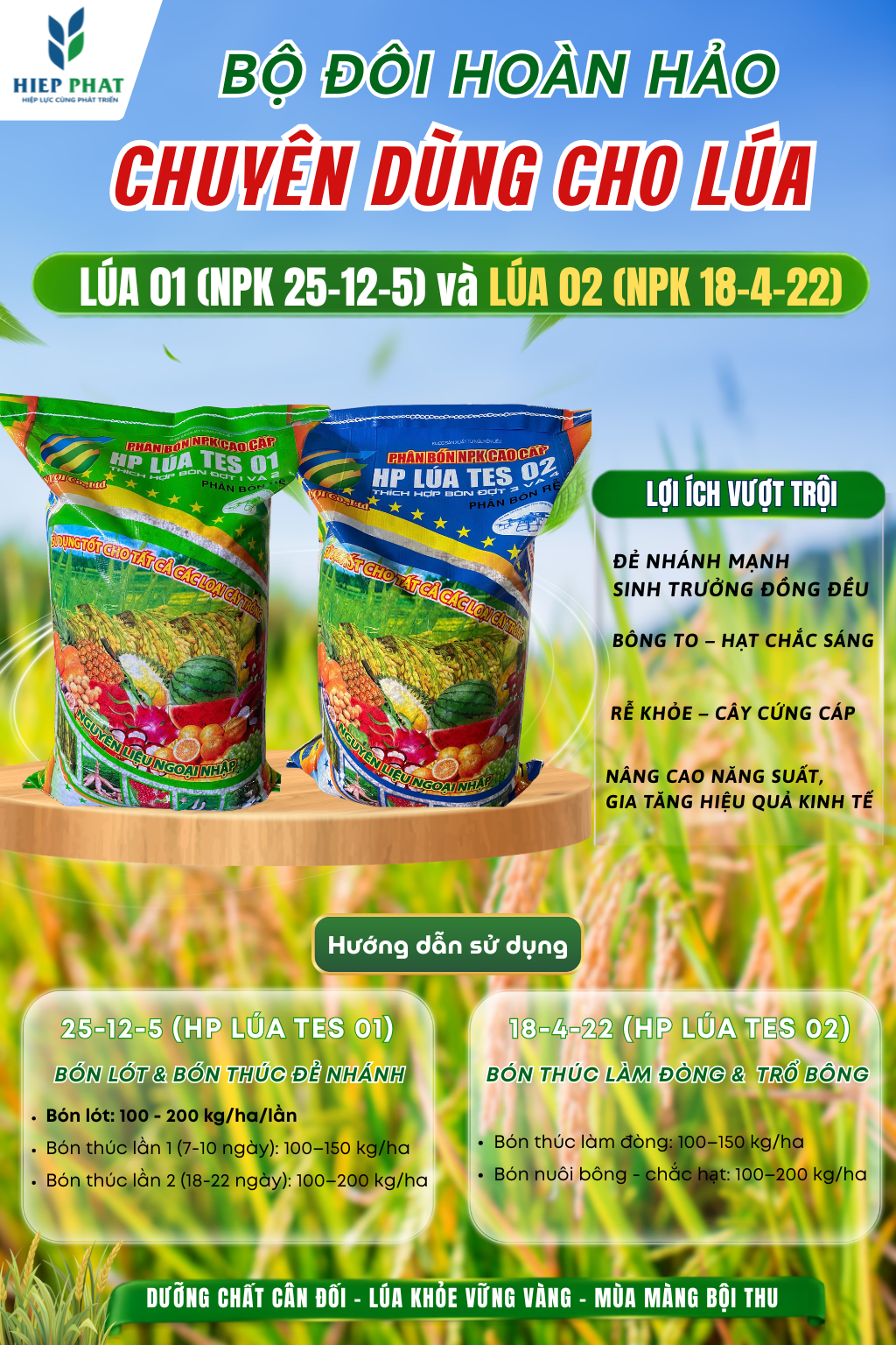 Phân Bón Chuyên Dùng Cho Lúa – Cách Lựa Chọn Và Sử Dụng Hiệu Quả