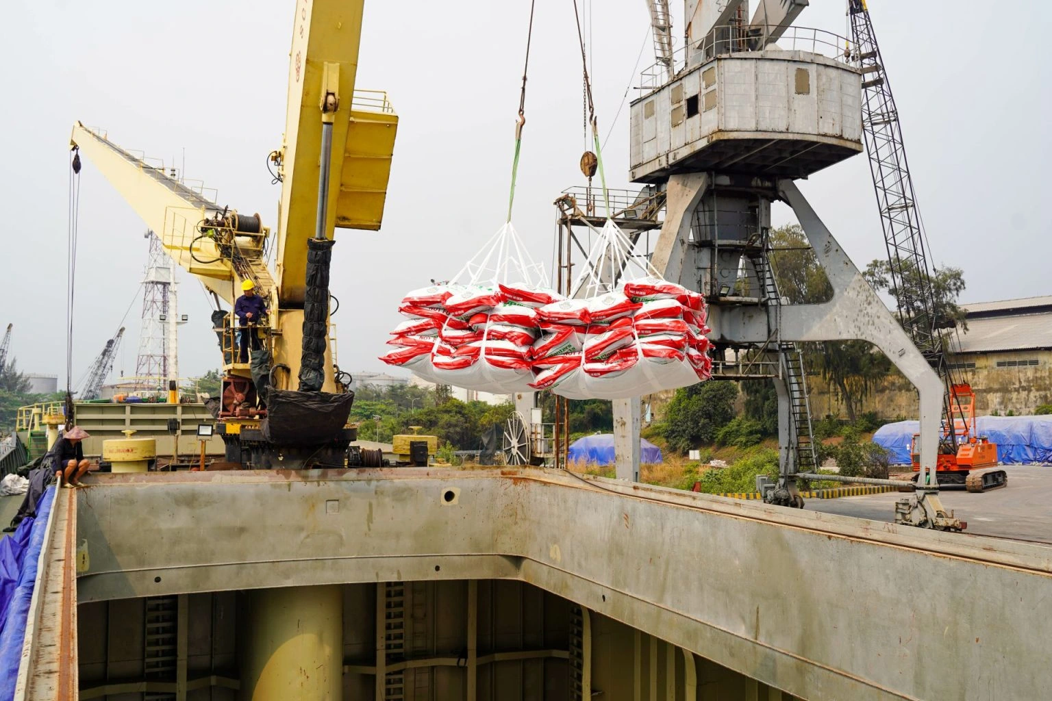 Giá phân bón tăng vì nguồn cung bị ảnh hưởng