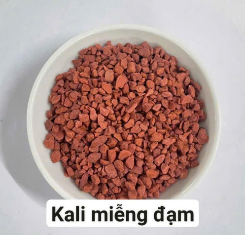 Phân Bón Kali Đạm Miểng NK 10-30