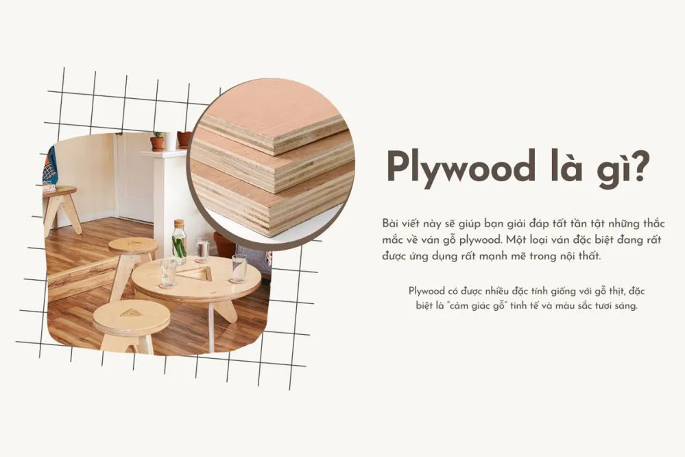 Ván Plywood là gì? Cấu tạo, ưu nhược điểm và ứng dụng trong nội thất