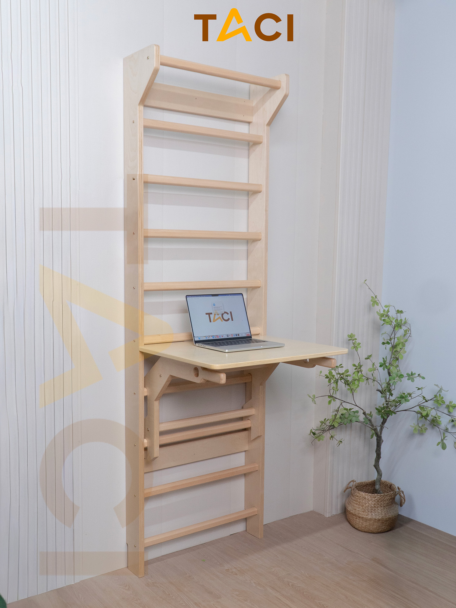 Thang Yoga  TACI - 01B