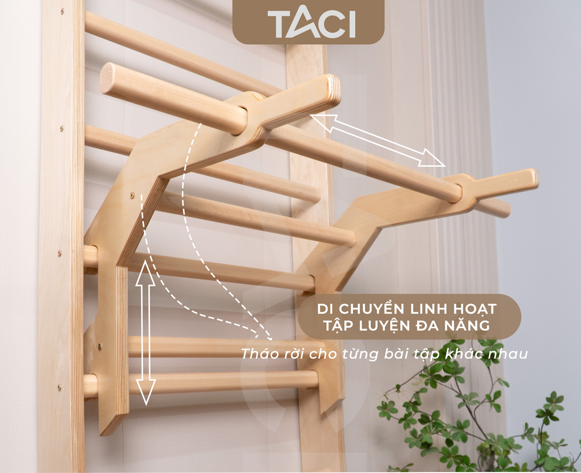 Thang Yoga  TACI - 01B