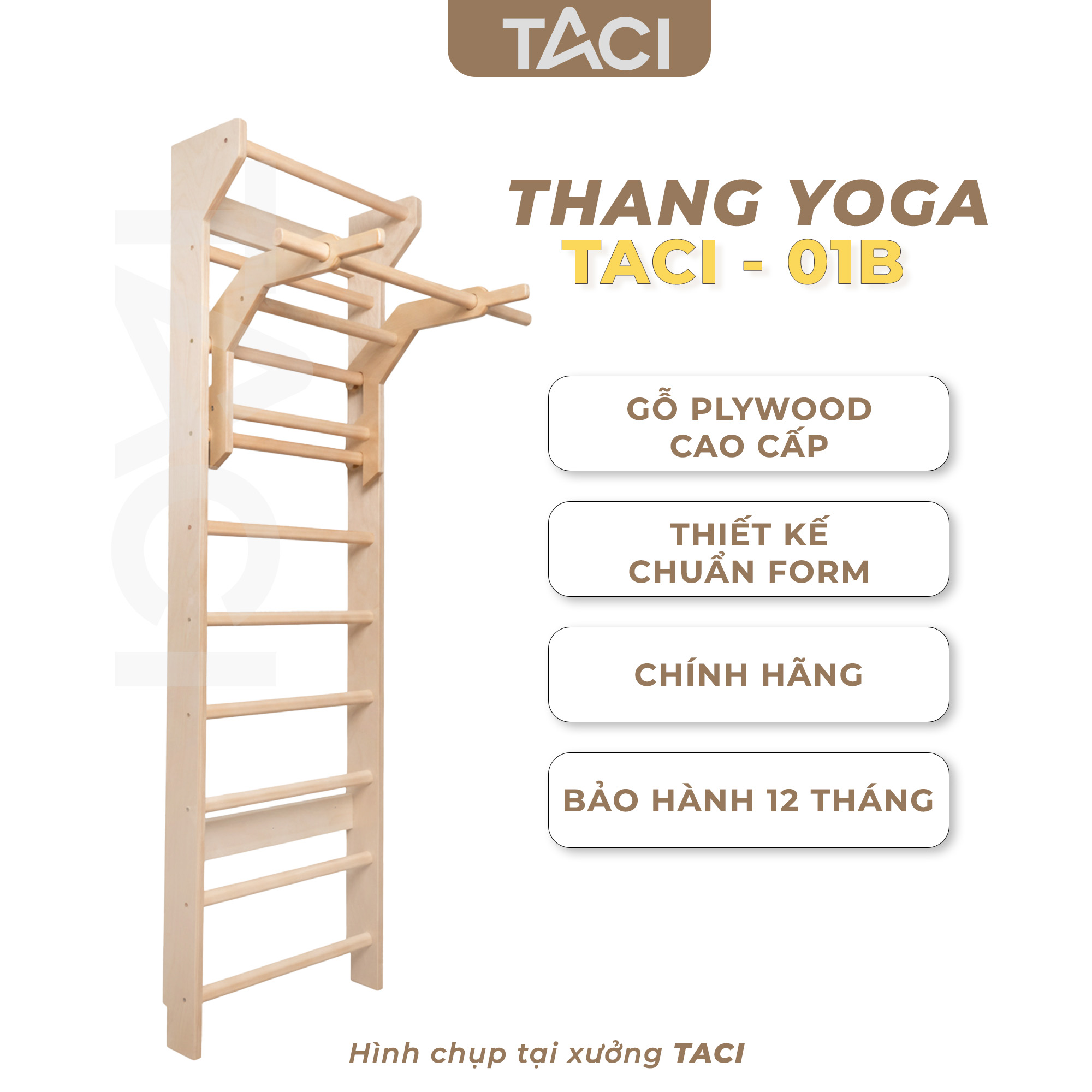 Thang Yoga  TACI - 01B